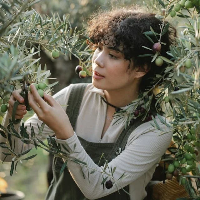 Wilderness Survival: Edible Plants Identification