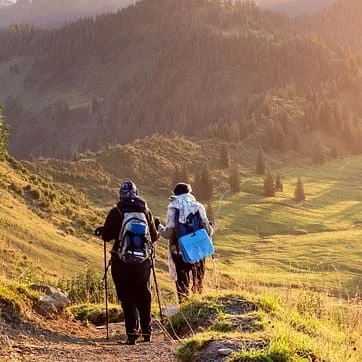 Summit Pro Trekking Poles