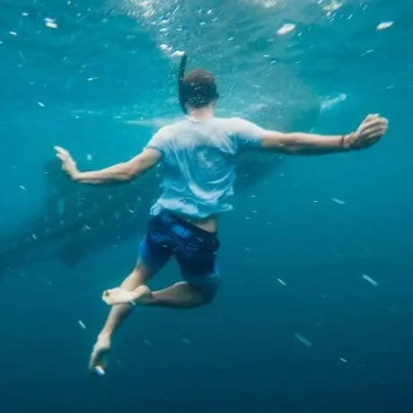 Coastal Explorer Printed Micro Fleece Swim Trunks